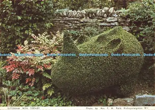 D159155 Dittisham mit Topiary. Devon Federation of Women Institutes. Richter. Mr.