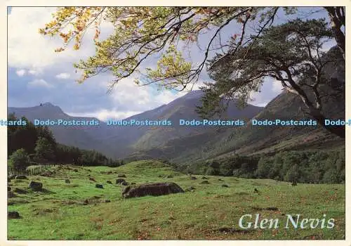 D160511 Schottland. Glen Nevis. Whiteholme. Schottland im Fokus