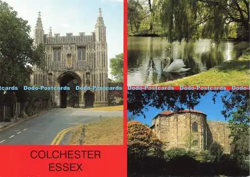 D159194 Colchester. Essex. Wivenhoe Park. Küstenkarten. Richter. C. 38898. X.