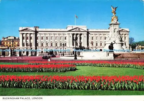 D164068 London. Buckingham Palace. Colourmaster Postkarten. 1987