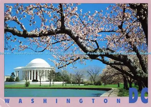 D165244 Washington. DC. The National Mall Edition. Impact Publishing. Phil Stodd