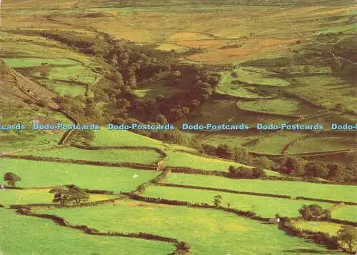 D160664 Rolling Welsh Fields. The Telegraph Colour Library