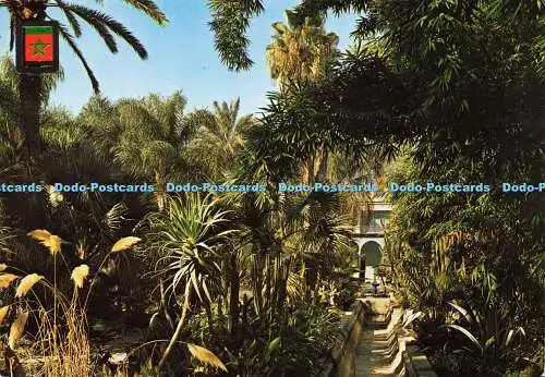 D161966 Marrakesch. Jardin Majorelle. Fisa. Nr. 6