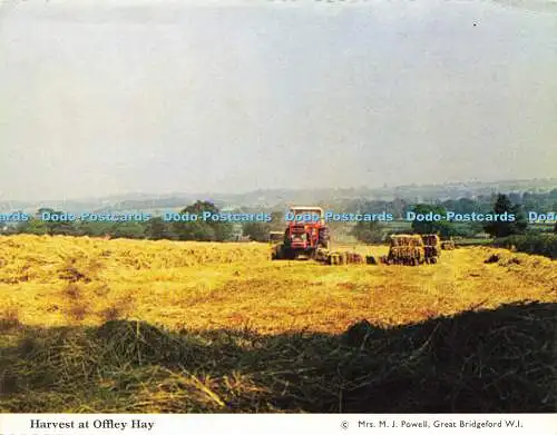 D160679 Ernte bei Offley Hay. Mrs. M. J. Powell