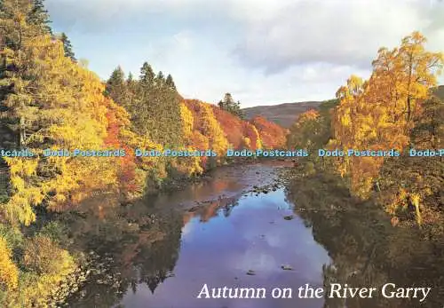 D161976 Herbst am Fluss Garry. Whiteholme. Ein Hagel Caledonia Produkt. R. Mata