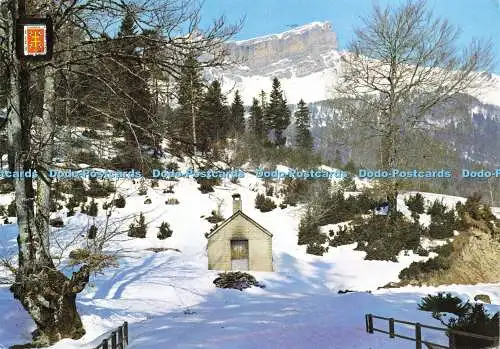 D164256 Pirineo Aragones. Huesca. Hecho. Selva de Oza. Al Fondo Las Collaretas.