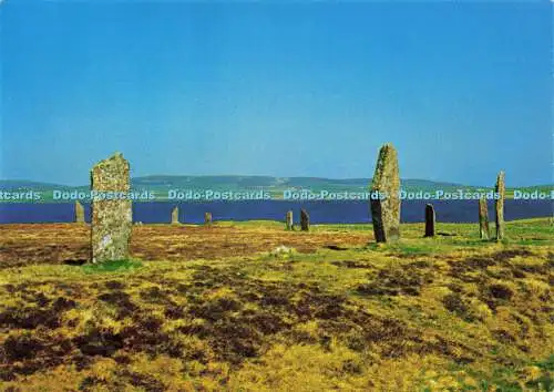 D165500 Orkney. Ring von Brogar. Stenness. Krone. Nr. 2