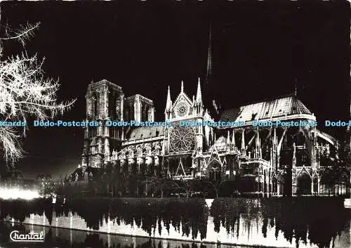 D165510 Paris. Notre Dame Illuminee. Chantal. RP