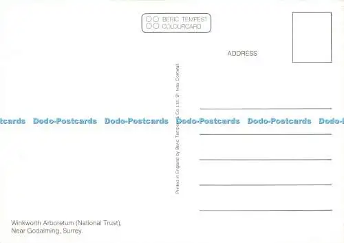 D161025 Surrey. Arboretum Winkworth. National Trust. Nahe Godalming. Beric Tempe