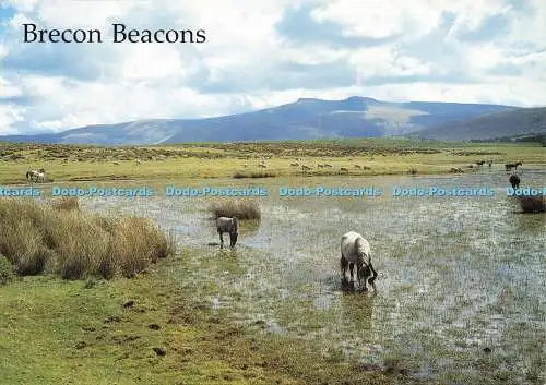 D164503 Brecon Beacons. Richter. C. 877