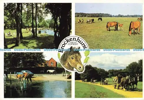 D164507 Brockenhurst. New Forest. New Forest Ponys. J. Arthur Dixon. Multi View