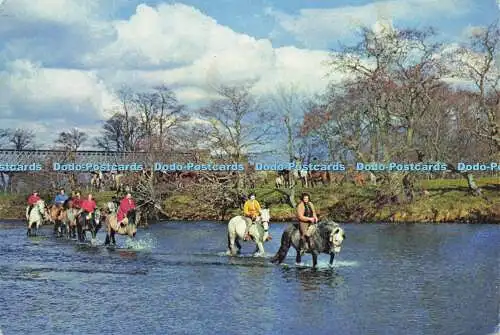 D164512 Newtonmore Pony Trekker. Fording The Spey. J. Arthur Dixon