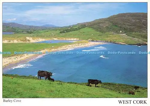 D164529 West Cork. Barley Cove. Real Ireland Design