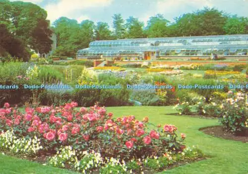 D161094 Dunfermline. Pittencrieff Park. Rosengarten und krautige Bordüren vorne