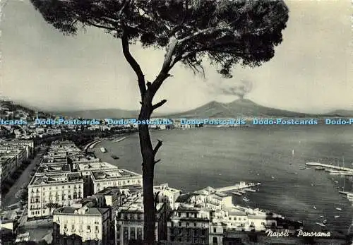 D164562 Napoli. Panorama. R. Renza. Ed. e Fot. Esclusiva