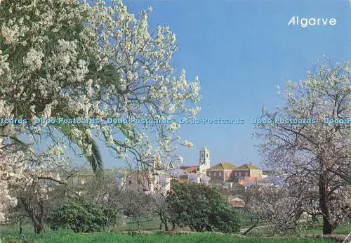 D165723 Algarve. Foto Vista. Postkarte