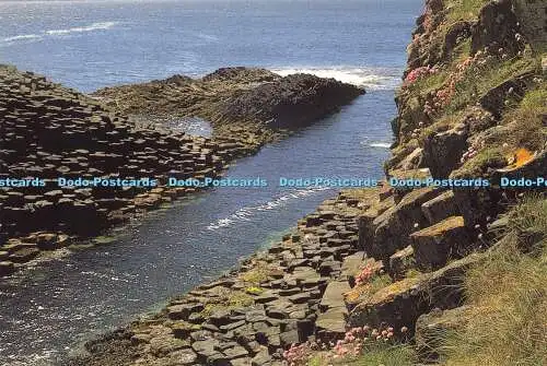 D162399 Isle of Staffa. Klasse 37. Designs