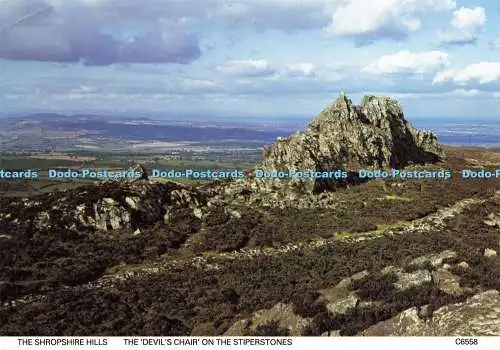 D165729 The Shropshire Hills. Der Teufelsstuhl auf den Stiperstones. Richter. C. 65