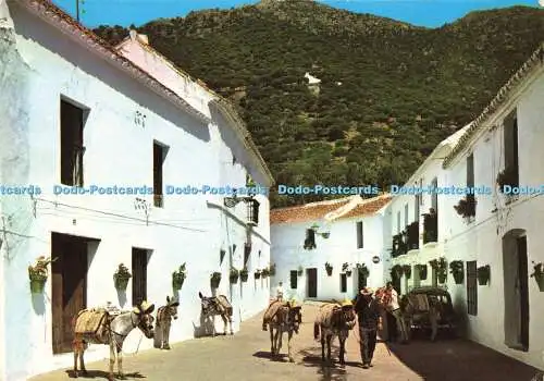 D164636 Mijas. Costa del Sol. Die typische Straße. Arribas