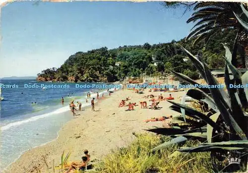 D165838 La Cote D Azur. Côte d'Azur. Le Rayol. Mrz. Mexichrom. 1970