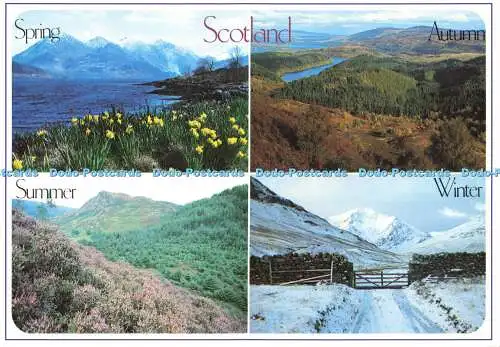 D162516 Schottland. Winter. Sommer. Whiteholme. Multi View