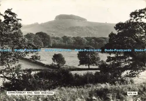 D162532 Chanctonbury Ring in der Nähe von Worthing. stecken. 1959. RP