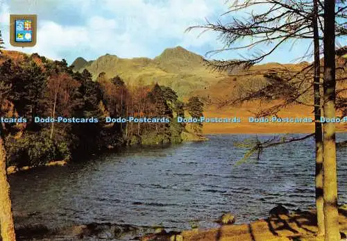 D162565 Blea Tarn and Langdale Pikes. Sanderson und Dixon. 1992