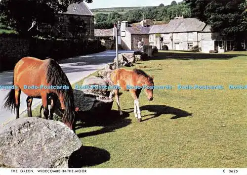 D166813 Widecombe im Moor. Das Grün. Richter. C. 3625