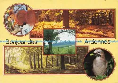 D165892 Bonjour des Ardennes. Lander Eupen. Multi View