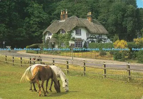 D166815 New Forest Cottage. J. Lachs