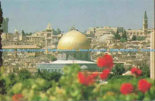 D164738 Jerusalem. Die Altstadt vom Mt. aus Olive. Jerusalem Book Shop. Gar