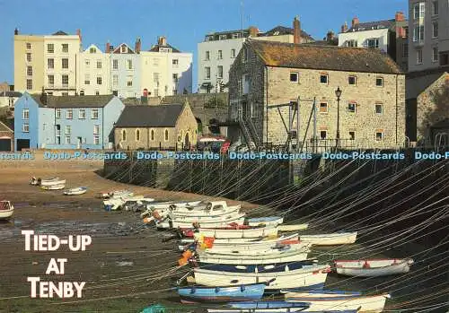 D162580 in Tenby gefesselt. John Hinde. Celtic Picture Library