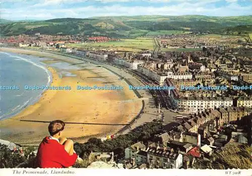 D166832 Llandudno. Die Promenade. Bamforth. 1988