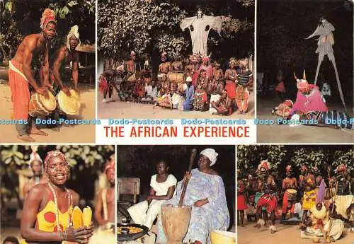 D166006 Gambia. Die afrikanische Erfahrung. Peter Brown. Vistacolour. Multi View