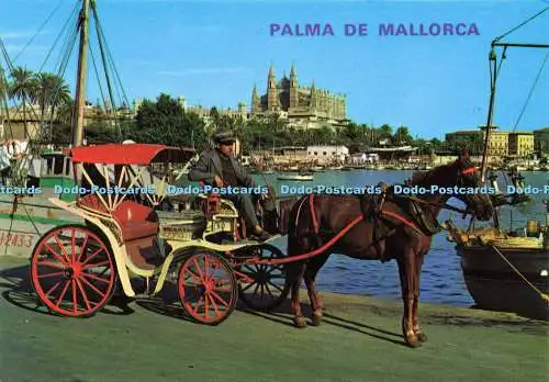 D166976 Palma de Mallorca. Blick auf die Bucht und die Kathedrale. Tomas De Pedro