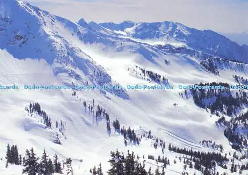 D166087 Die Berge im Schnee. Postkarte