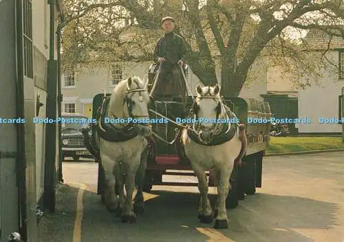 D164934 Brewers Dray in Southwold. J. Lachs