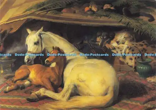 D164939 The Wallace Collection. Das arabische Zelt. Edwin Henry Landseer. Sir. Richar