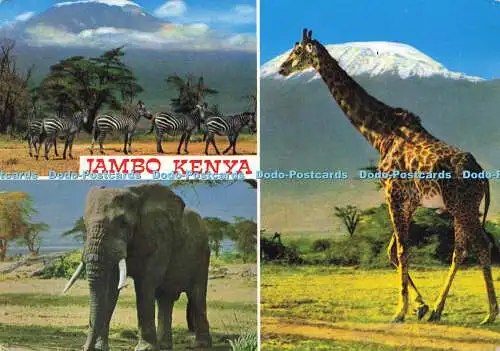 D166096 Jambo Kenia. Sapra Studio. Multi View