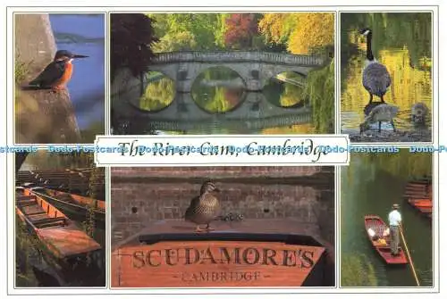 D166112 Cambridge. The River Cam. Trinity Punts. Bild. Fotogenix. Multi View