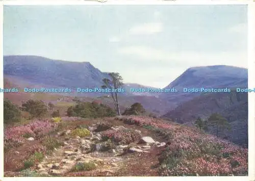 D162866 Der Blick nach Süden in die Mündung des Lairig Ghru Passes. Der Medic