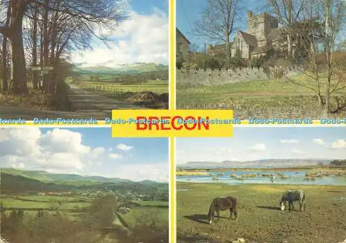 D166193 Brecon. Brechfa Teich. J. Arthur Dixon. Multi View