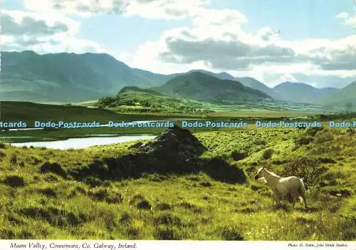 D166203 Irland. Maam Valley. Connemara. Co. Galway. John Hinde. D. Edel