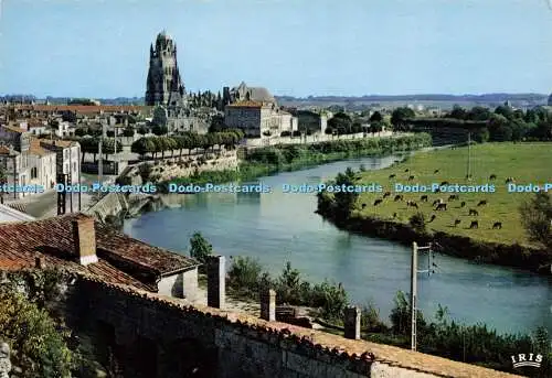 D166208 Saintes. Charente Maritime. Vue Generale de la Rive Gauche de la Charent