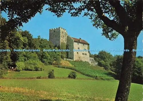 D166265 Schloss Habsburg. Fotoglob. Wehrli