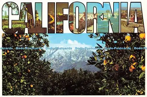 D162984 California. Winter in Südkalifornien. Mitock Verlag. Regal Mike Ro