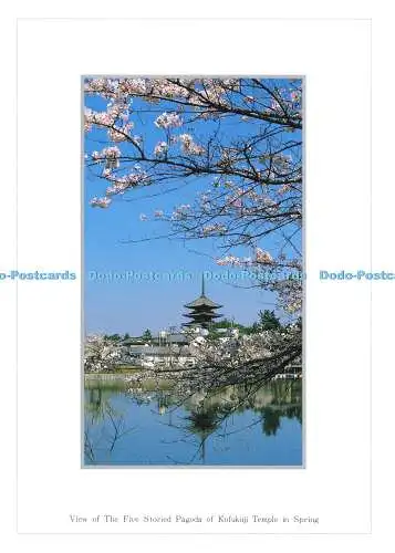 D167345 Blick auf die fünfstöckige Pagode des Kofukuji-Tempels im Frühling. Schöne