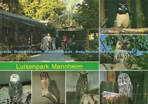 D166475 Luisenpark. Mannheim. Eulengehege. R. Gorzinski. Multi View