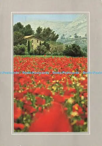 D167403 La Provence. Seppim. Joel Manouba. 1987