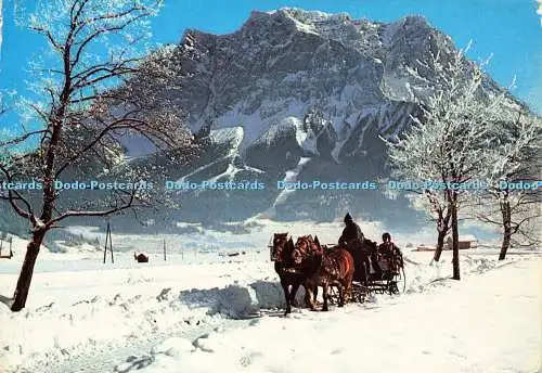 D163172 Winterfreuden im Ausserfern. Schlittenfahrt an der Zugspitze. Risch Lau